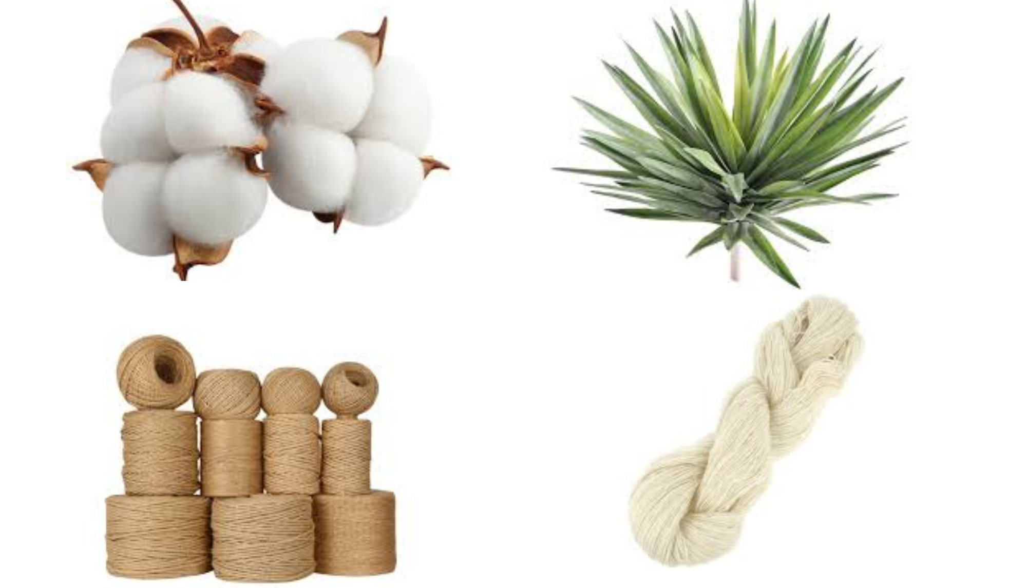 Cash & Fibre Crops